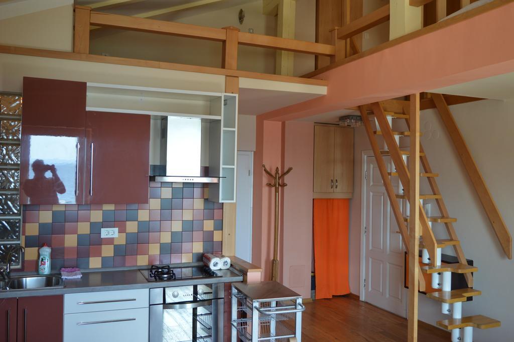 Apartments Zlatko Delic イカ 部屋 写真